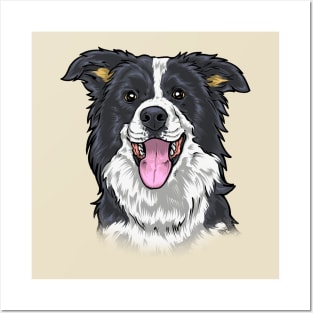 Border collie Posters and Art